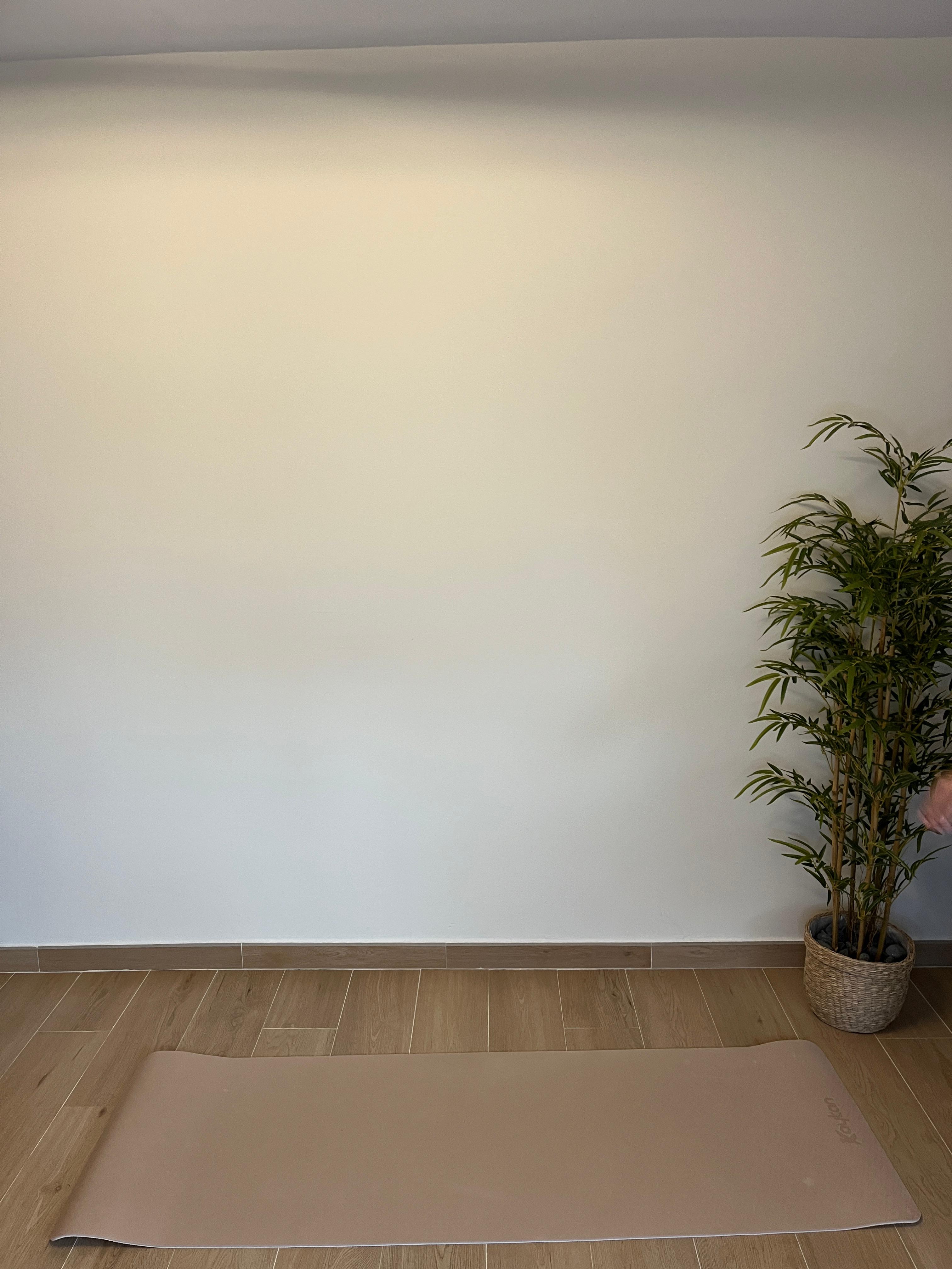 Recursos de formacion BARREM